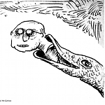 See You Later Alligator