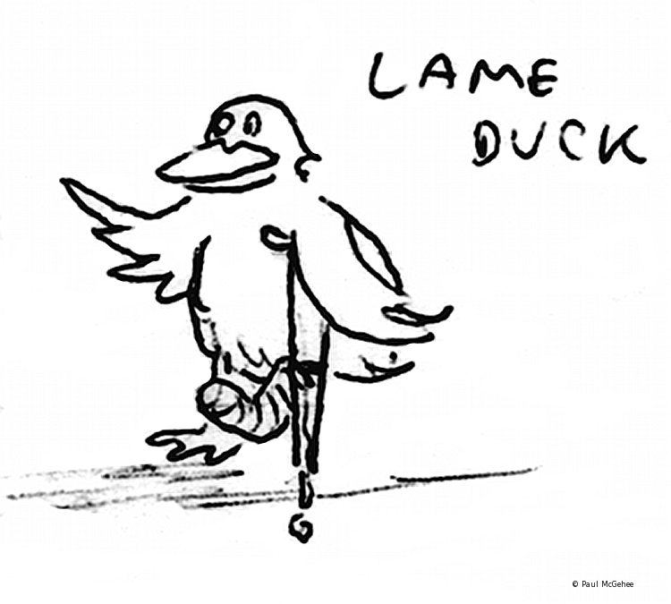 Lame Duck